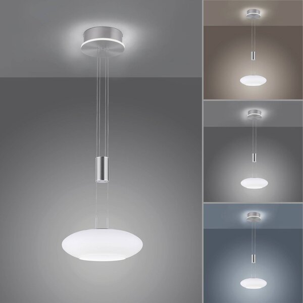 Q-Smart-Home Paul Neuhaus Q-ETIENNE LED függőlámpa, 1 izzós, dimmelhető, Alu / szürke / cink, Nappali / Étkező, fém, Modern
