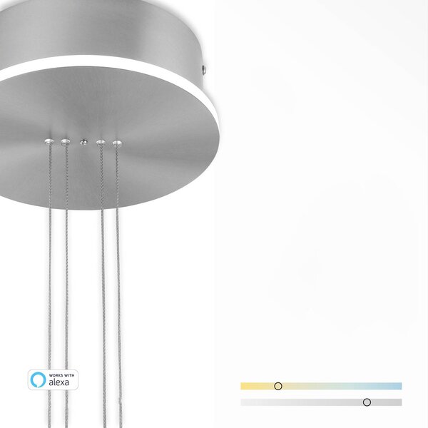Q-Smart-Home Paul Neuhaus Q-ETIENNE LED függőlámpa, 1 izzós, dimmelhető, Alu / szürke / cink, Nappali / Étkező, fém, Modern