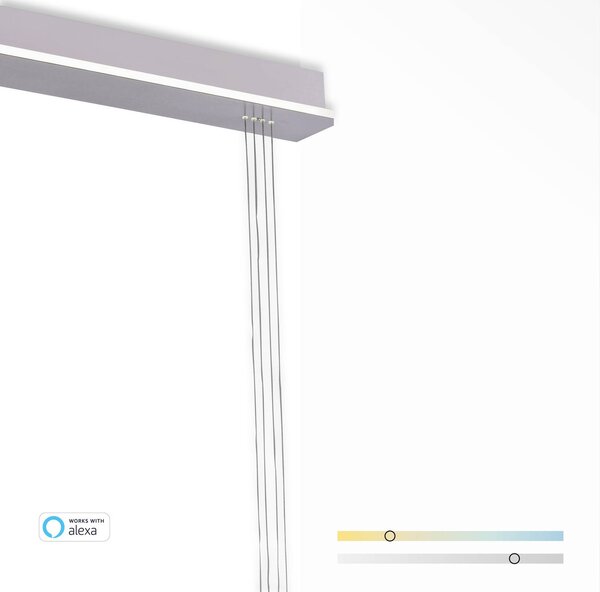 Q-Smart-Home Paul Neuhaus Q-ETIENNE LED függőlámpa, 2 izzós, dimmelhető, Alu / szürke / cink, Nappali / Étkező, fém, Modern