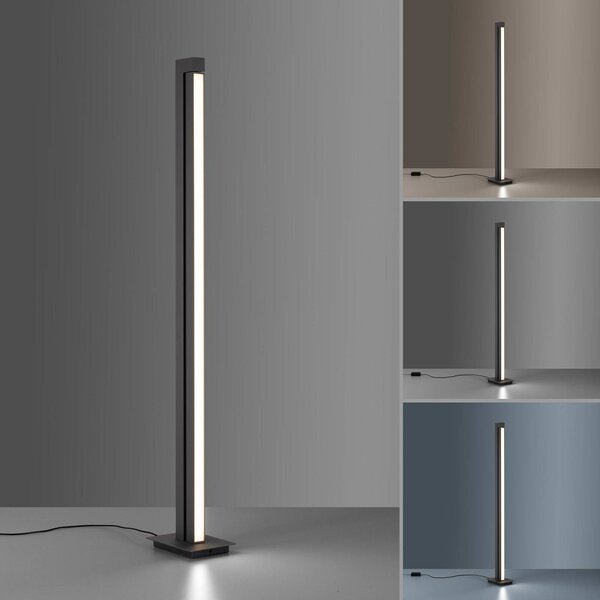 PURE LED állólámpa Lines, antracit, távirányítóval, 140 cm, dimmelhető, Alu / szürke / cink, Nappali / Étkező, fém, Modern