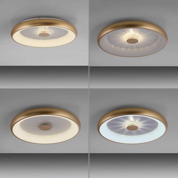 JUST LIGHT. GmbH Vertigo LED mennyezeti lámpa, CCT, Ø 61,5 cm, sárgaréz, dimmelhető, Sárgaréz / arany, Nappali / Étkező, fém, Modern