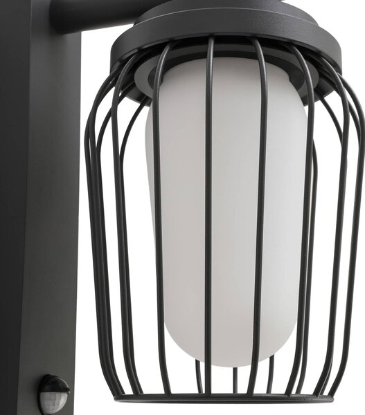 Lucande Chandan kültéri fali lámpa, 30 cm, antracit, érzékelővel, dimmelhető, Fekete, Alumínium, Modern