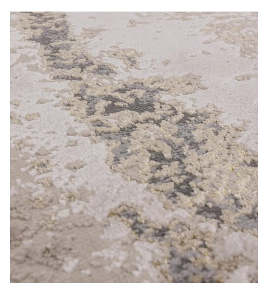Bézs szőnyeg 120x170 cm Aurora Cliff – Asiatic Carpets