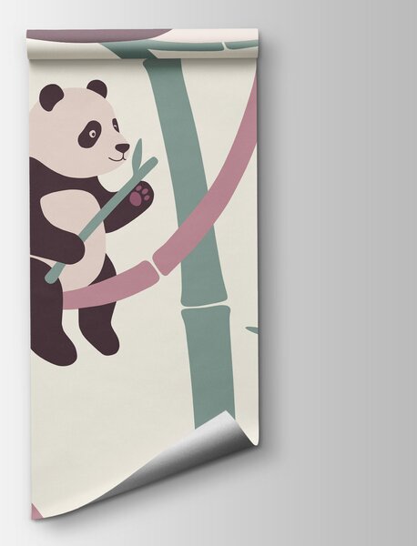 Fotótapéta Pandák csoportja bambuszágakon, Állatos fotótapéta, Népszerű fotótapéta, t00963v1 - Tapeko.hu