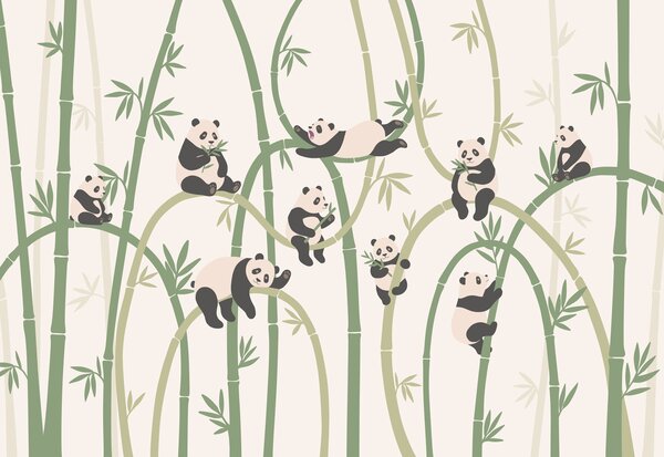 Fotótapéta Panda-csoport bambusz mellett, Állatos fotótapéta, Népszerű fotótapéta, t00963v2 - Tapeko.hu