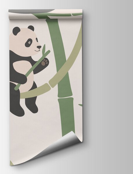 Fotótapéta Panda-csoport bambusz mellett, Állatos fotótapéta, Népszerű fotótapéta, t00963v2 - Tapeko.hu