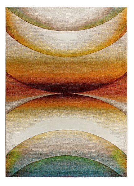 Szőnyeg 120x170 cm Libet – Universal