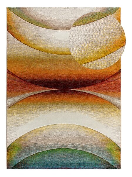 Szőnyeg 120x170 cm Libet – Universal