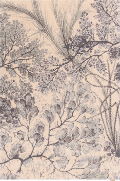 Mentazöld-bézs gyapjú szőnyeg 133x190 cm V&A Calisia Kelp – Agnella