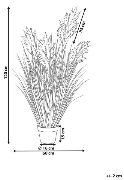 Műnövény MISCANTHUS GRASS 120 cm Barna