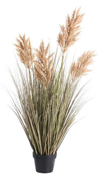 Műnövény MISCANTHUS GRASS 120 cm Barna