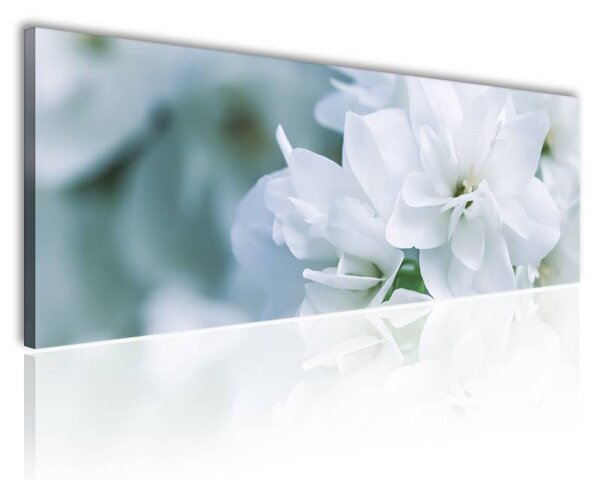 120x50 cm Halvány fehér virágok vászonkép