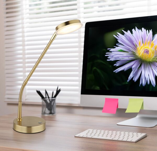 SILVIO LED asztali lámpa, sárgaréz, 53,5 cm, 2700/3350/4000K