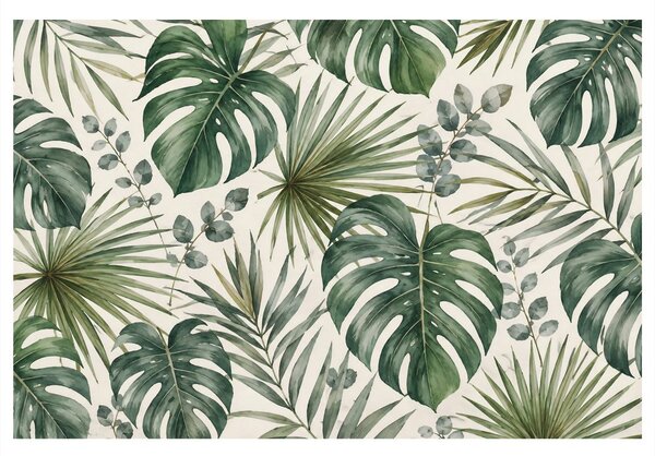 Kép zöld monstera levelek