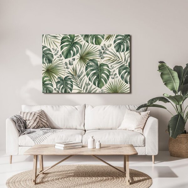 Kép zöld monstera levelek