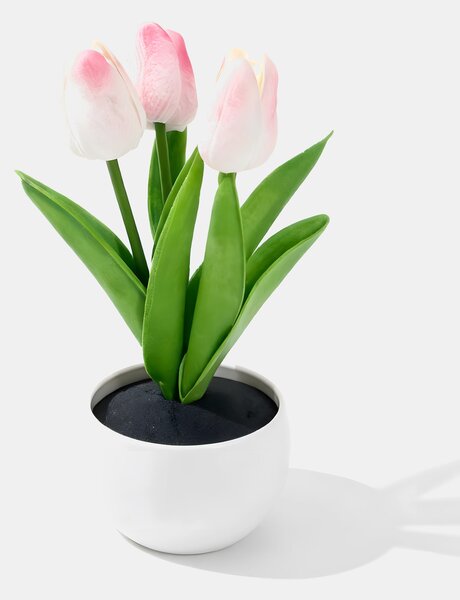 Sinsay - Dekoratív tulipánok cserépben - rózsaszín