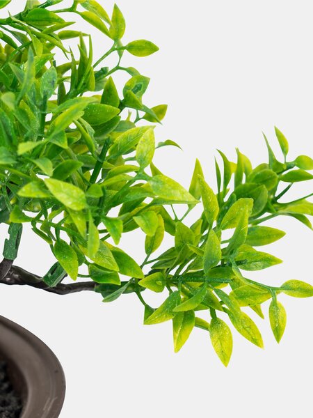Sinsay - Bonsai fa cserépben - zöld