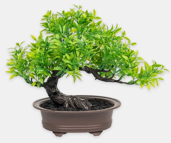 Sinsay - Bonsai fa cserépben - zöld
