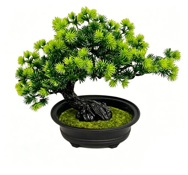 Sinsay - Dekoratív bonsai növény cserépben - zöld