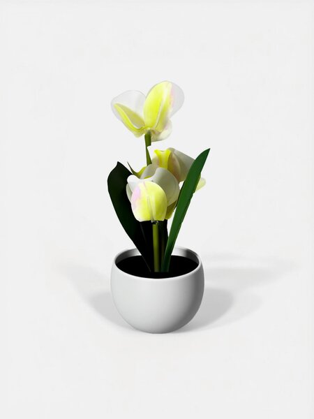 Sinsay - Dekoratív cserepes növény – orchidea - krémszínű