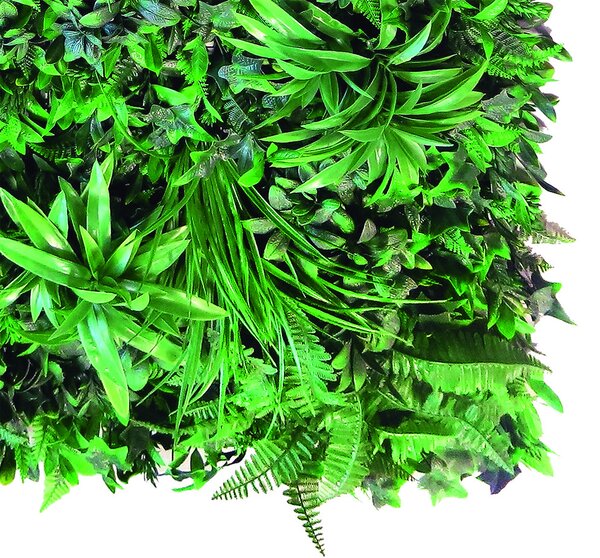 VERTICAL TROPIC zöldfal trópusi növényekkel 1x1 m
