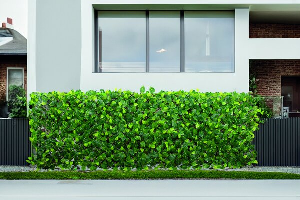 EXTENSY GREEN kihúzható apácarács levelekkel 0,9x1,8 m