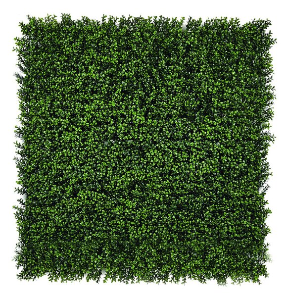 VERTICAL BUXUS zöldfal buxus levelekkel 1x1 m