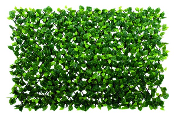 EXTENSY GREEN kihúzható apácarács levelekkel 0,9x1,8 m