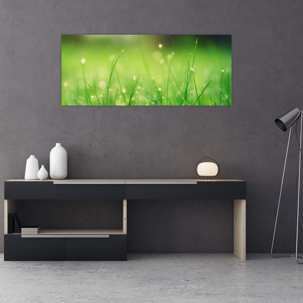 Kép - harmatos fű (120x50 cm)