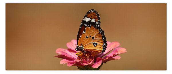 Pillangó képe a virágon (120x50 cm)