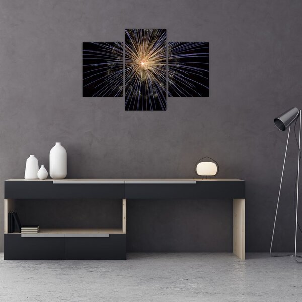 Tűzijáték képe (90x60 cm)