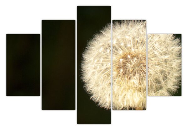 Szürke virág képe (150x105 cm)