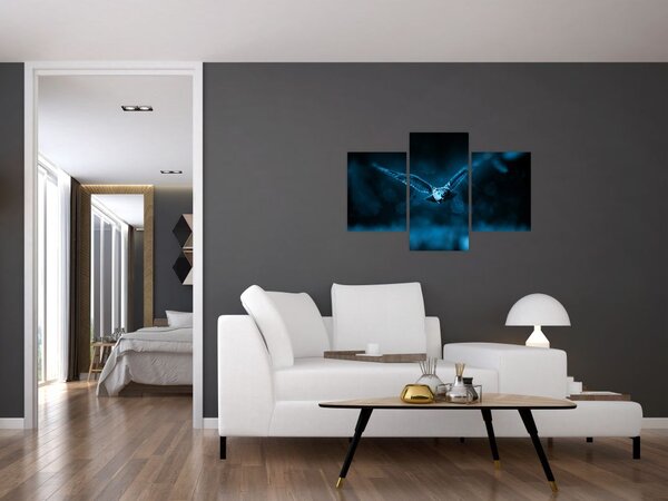 Egy repülő bagoly képe (90x60 cm)