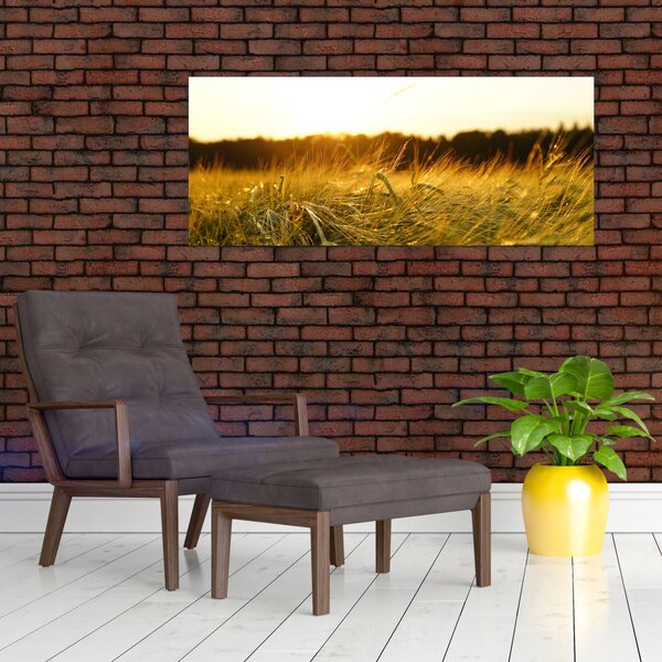 Harmatos fű képe (120x50 cm)