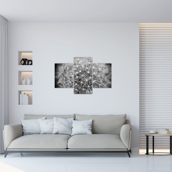 Szürke pitypang képe (90x60 cm)