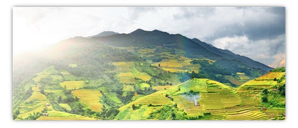 Ültetvények képe (120x50 cm)