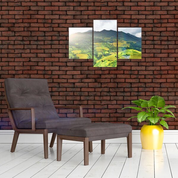Ültetvények képe (90x60 cm)