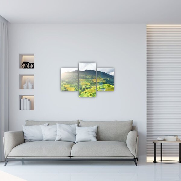 Ültetvények képe (90x60 cm)