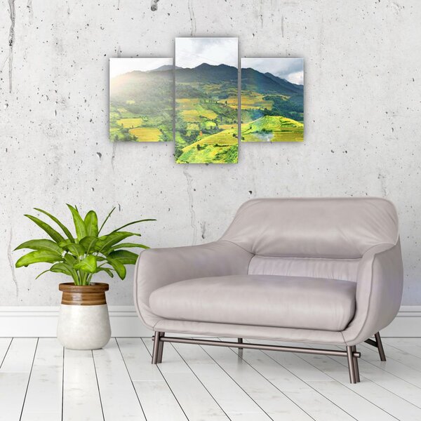 Ültetvények képe (90x60 cm)