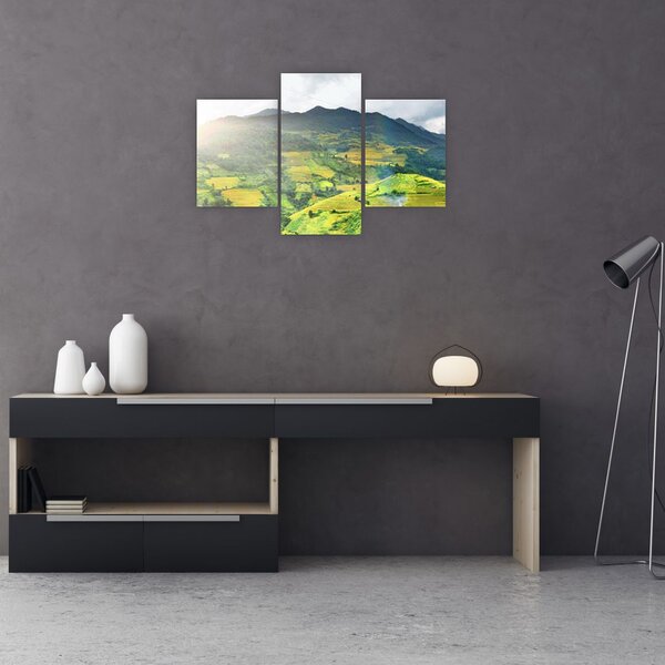 Ültetvények képe (90x60 cm)