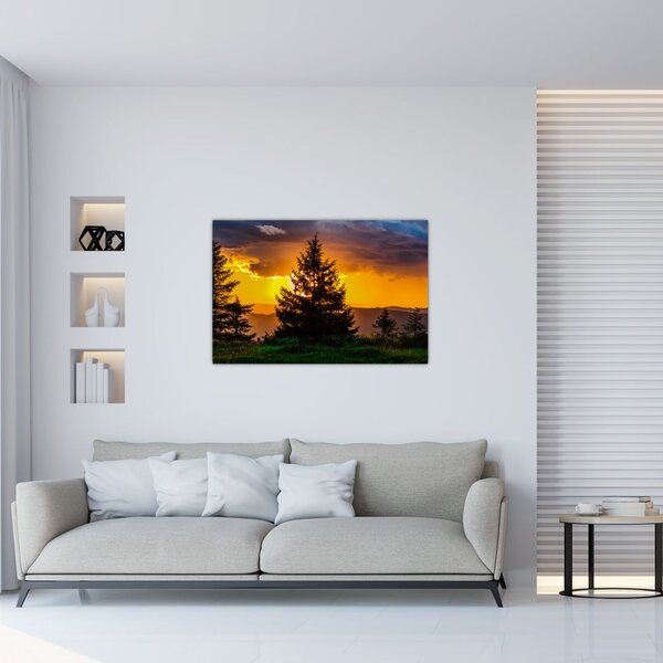 Kép - tűlevelűek (90x60 cm)