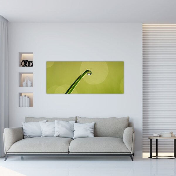 Víz csepp a fűben képe (120x50 cm)