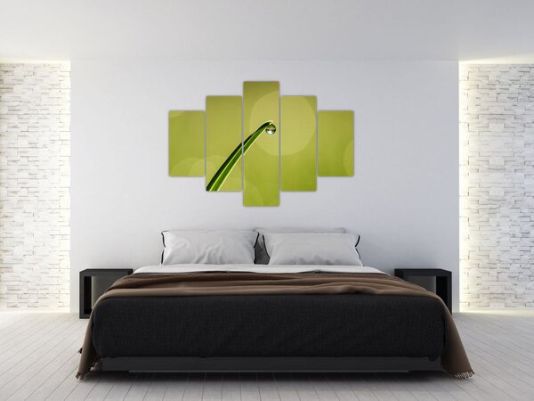 Víz csepp a fűben képe (150x105 cm)