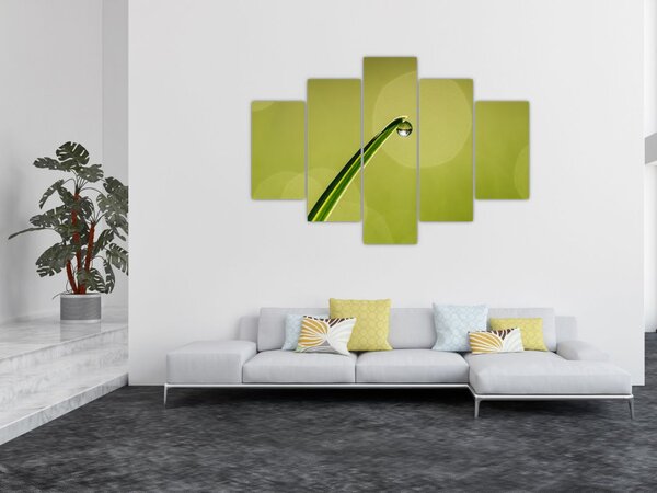 Víz csepp a fűben képe (150x105 cm)