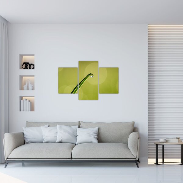 Víz csepp a fűben képe (90x60 cm)