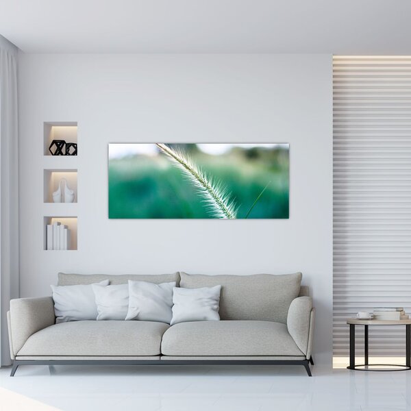 Fűszál képe (120x50 cm)