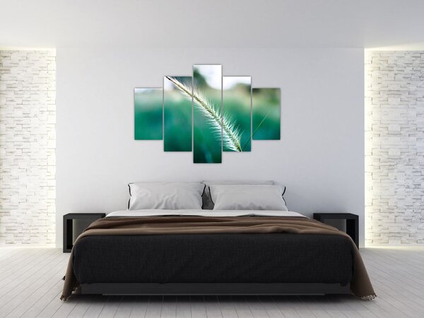 Fűszál képe (150x105 cm)