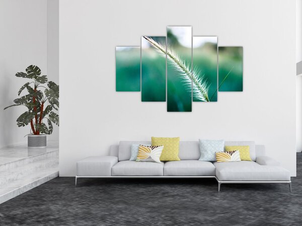 Fűszál képe (150x105 cm)