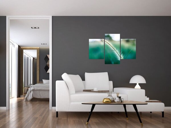 Fűszál képe (90x60 cm)