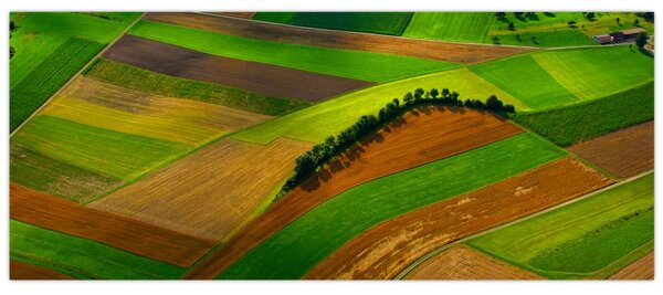 Kép - Mezők, rétek (120x50 cm)